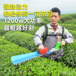 无刷重修锂电动绿篱修剪机充电式采茶机茶叶茶树修枝剪Z粗枝剪球