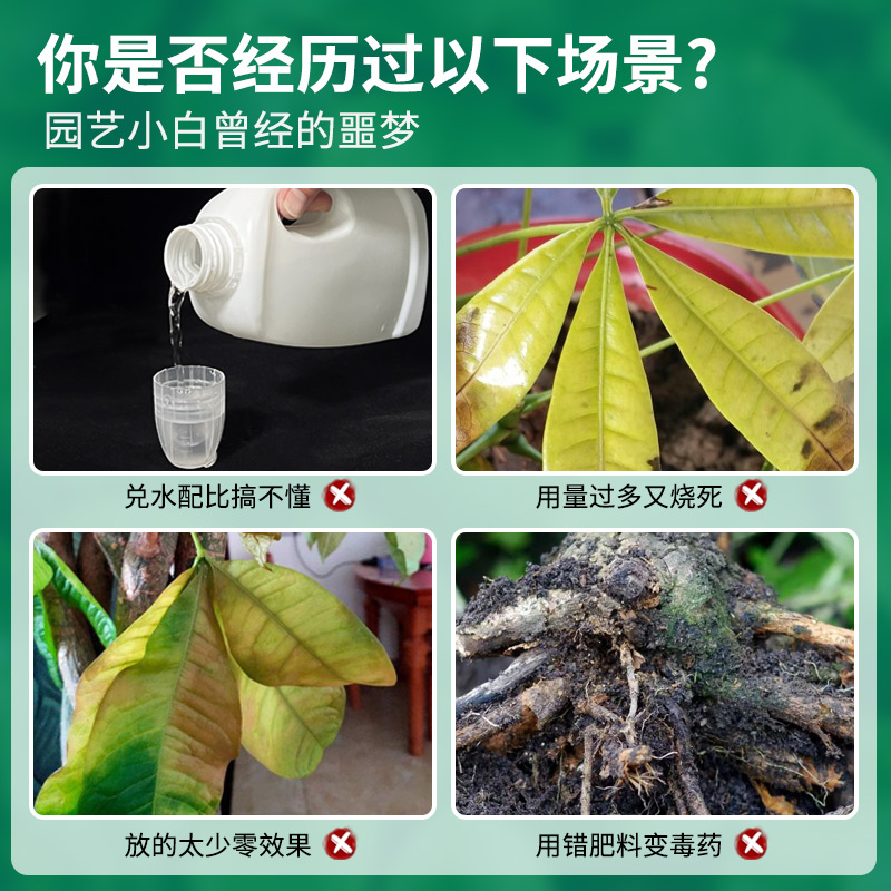 免稀释发财树专用营养液花肥料室内盆栽植物金钱树花卉绿植喷施肥