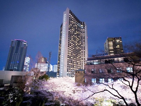 东京全日空洲际酒店