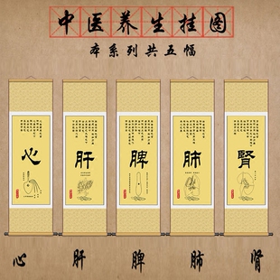 中医五脏养生卷轴挂图心肝脾肺肾文化挂画养生会所医院医馆装饰图