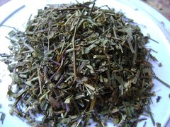 中药材批发  白花蛇草 白花舌草 500克14元