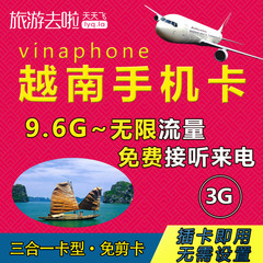 越南3G上网电话手机流量卡vinaphone3GB/6GB芽庄岘港河内旅游sim