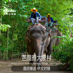 泰国芭提雅大象村elephant village骑大象1小时芭堤雅暹罗大象园