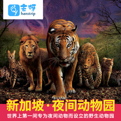 新加坡夜间野生动物园门票   night Safari 新加坡 自由行