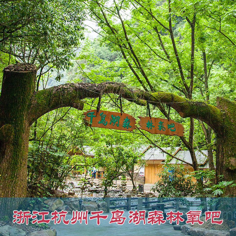 [千岛湖森林氧吧-大门票(3小时后可用)]浙江杭州千岛湖森林氧吧