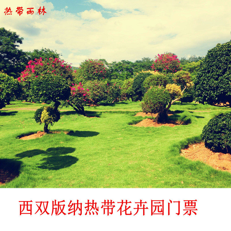 [热带花卉园-大门票]西双版纳旅游新品推荐热带花卉园