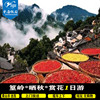 Huangshan Set out Wuyuan Huang Ling January Essence Tuanyou Pure Play routine Made every day Huangshan Set out Wuyuan Huang Ling January Essence Tuanyou Pure Play routine Made every day