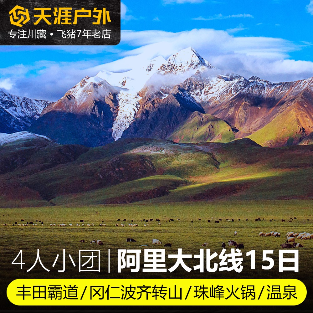 西藏旅游阿里大北线羊湖纳木错措冈仁波齐转山15日纯玩跟团自由行在类目 度假线路/签证送关/旅游服务, 自由行/跟团游, 国内跟团游中 - 来自Buy2taobao.com提供专业的淘宝代购服务
