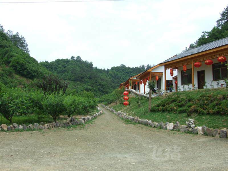 世京果园农家乐