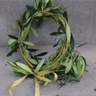 橄榄树新鲜橄榄枝条制作奥运桂冠橄榄花环