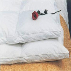 全棉高支高密防绒面料床褥床垫白色1.5/1.8m羽绒加厚白鸭绒床垫