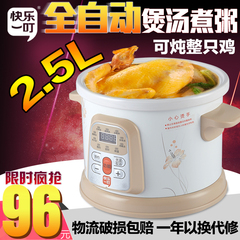 快乐一叮 DDG-933B3 煮粥锅全自动煲汤锅预约定时白瓷电炖锅