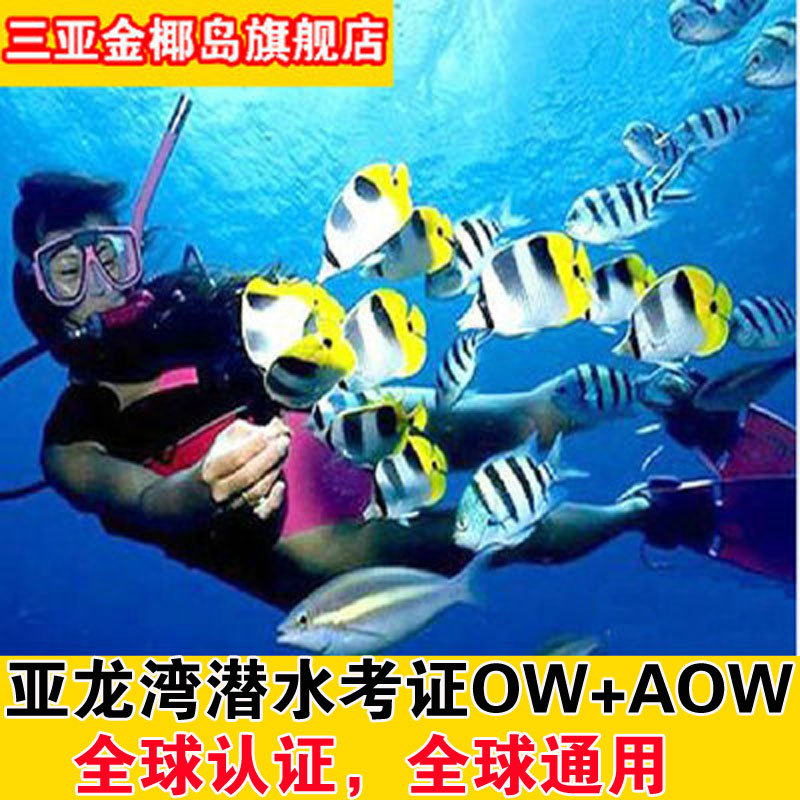 三亚亚龙湾潜水考证AOW+OW潜水三亚专业考证考证三亚亚龙湾FD潜水