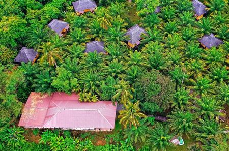 阿努拉可山林小屋
