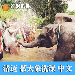 泰国 清迈一日游 骑大象 帮大象洗澡 中文导游 清迈大象保护中心