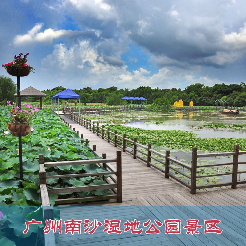 [南沙湿地-门票+游船]广州南沙湿地公园景区 南...