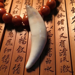 大藏獒牙真 黑狗牙齿 狼牙项链 男士吊坠时尚男女饰品生日礼物