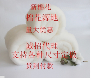 山东散装棉花瓤子棉絮棉胎皮棉精梳棉天然长绒棉 棉被棉衣填充物