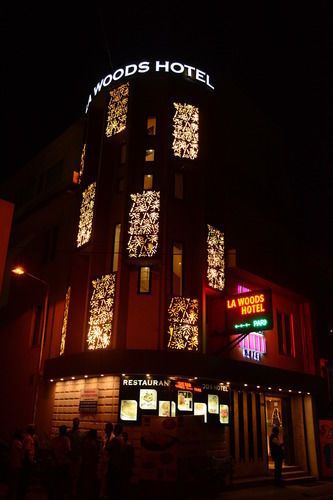 LIC建筑森林酒店