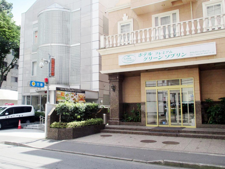 高级绿色索维林酒店