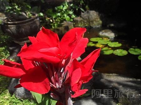 波洛克与勒梅耶海滨酒店