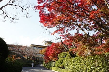 琵琶湖花街道