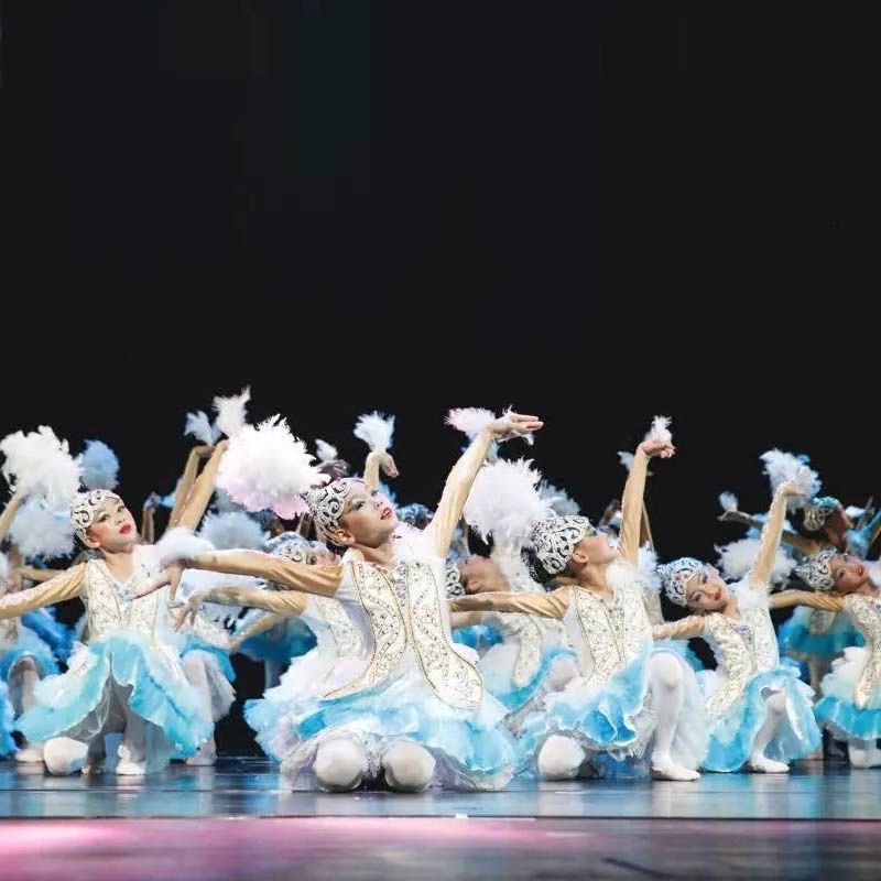 第九届小荷风采向天歌舞蹈演出服儿童大白鹅表演服装咏鹅六一动物