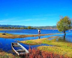 【丽江出发】拉市海湿地公园茶马古道一日游 骑马 划船 午餐 接送