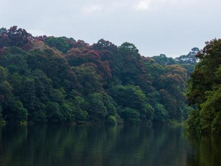 Hotel Vedanta Wake up – Thekkady