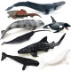 新款实心仿真海洋动物模型邓氏鱼抹香鲸虎鲸蓝鲸独角鲸好玩具摆件