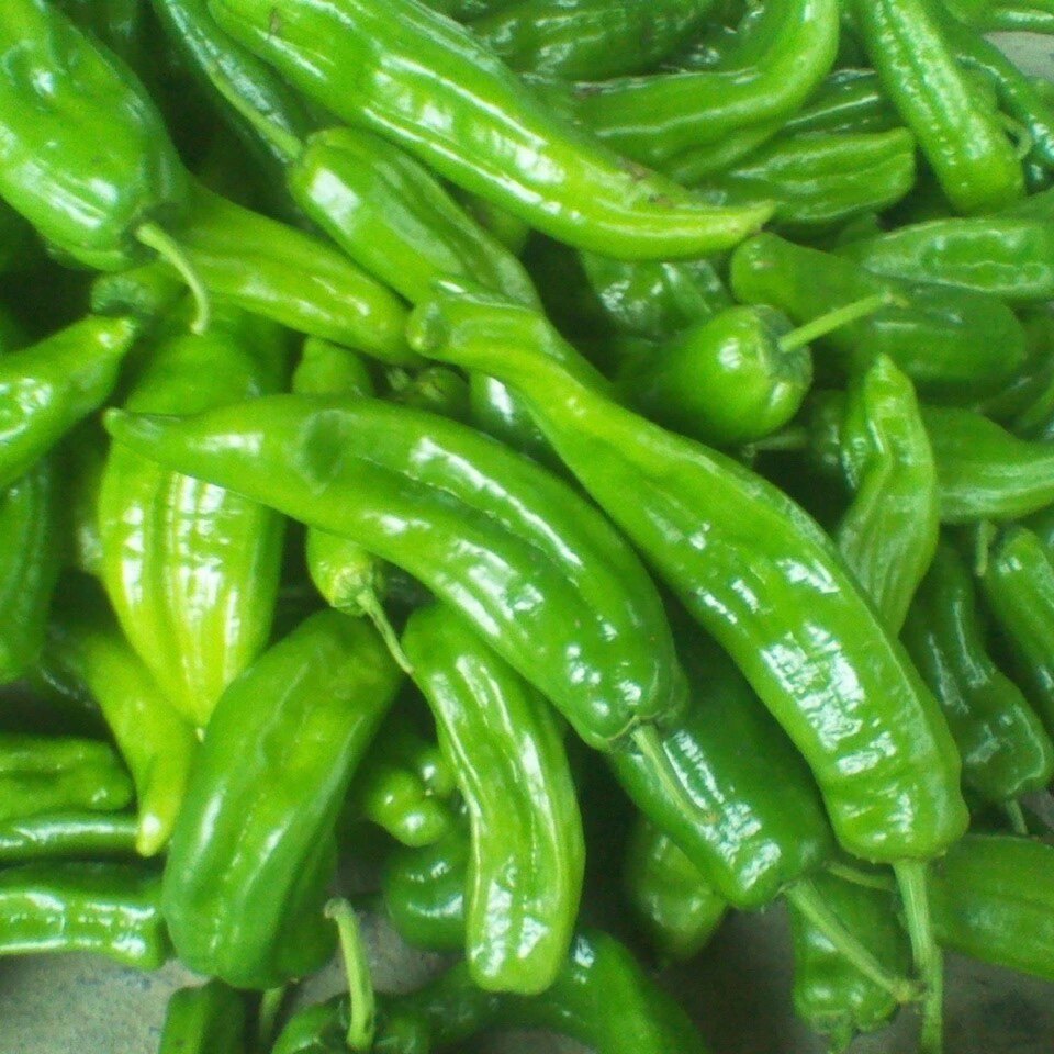 新鲜农家辣椒现摘发泡椒菜微辣虎皮绿色蔬菜辣椒