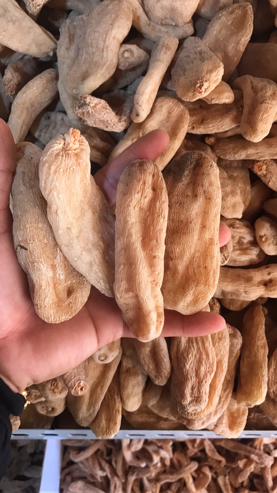 正宗云南昭通野生干货天麻500克新鲜天麻