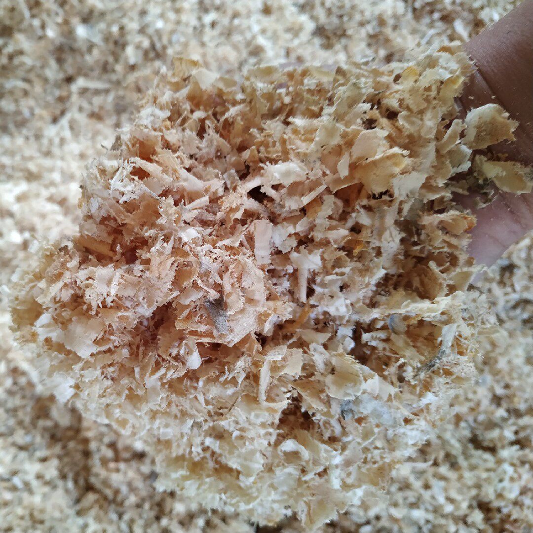 松木刨花垫窝清洁木屑锯末保暖仓鼠宠物除臭垫料