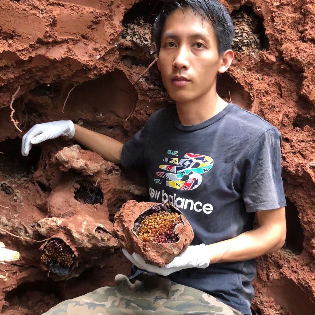 全程直播顺丰云南西双版纳天然土酸蜂无刺蜂蜜精品500克6瓶套餐