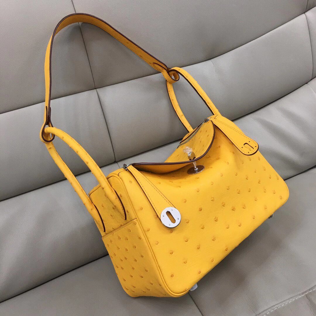 琳迪26lindys南非进口鸵鸟皮包女士包包休闲新款通用款女包