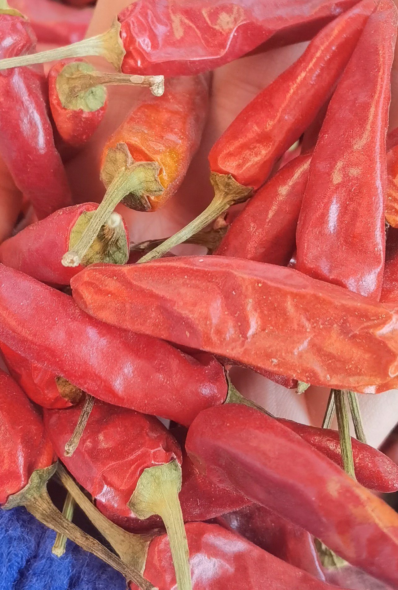 辣椒正宗卤鸭鸭现专用越香福建越煮香辣王香辣辣椒粉料