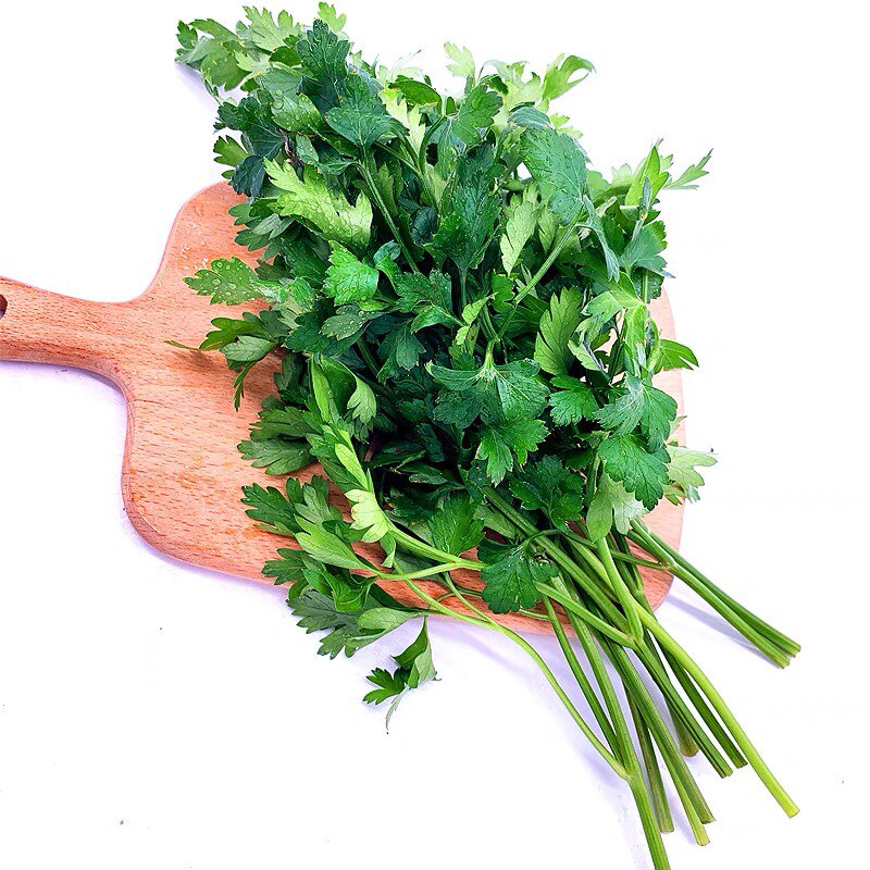 新鲜蔬菜意大利香芹欧芹香料细小小叶番茜点缀其它