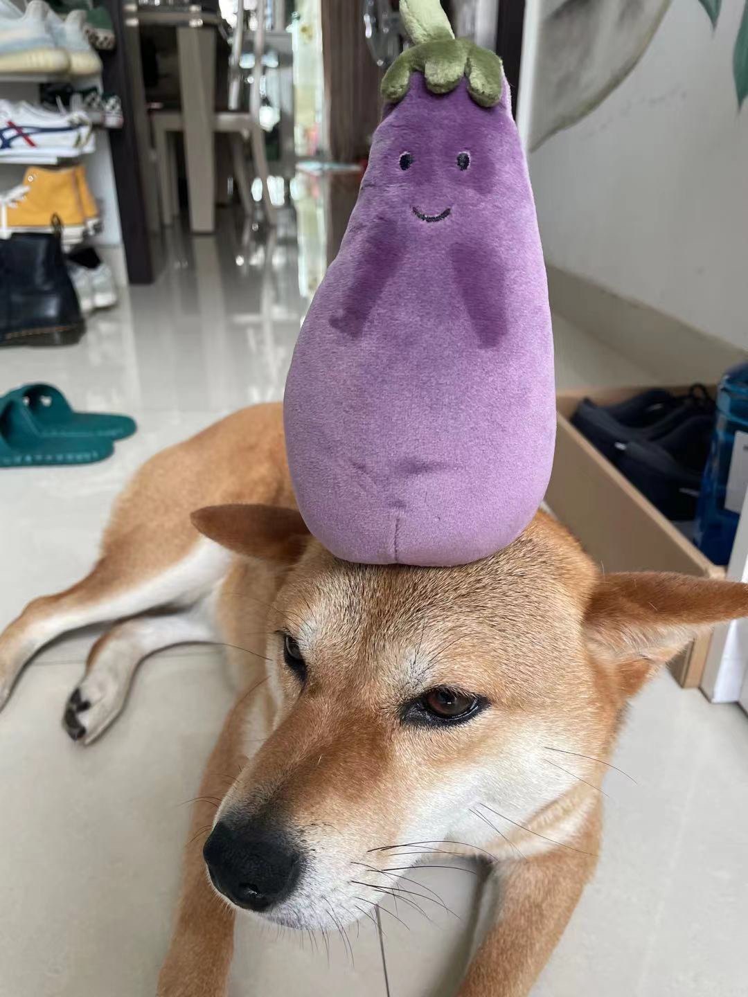 茄子上海现货网红英国jellycat茄宝17cm宝宝宝宝安毛绒布艺类玩具