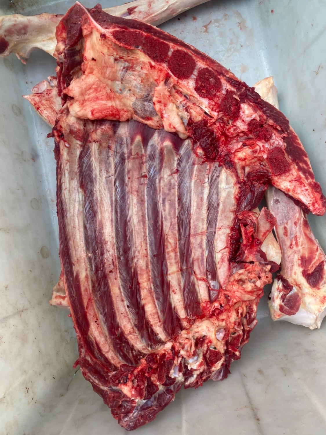 排骨新鲜带皮生驴肉驴肋条带骨头驴排5斤现宰驴肉