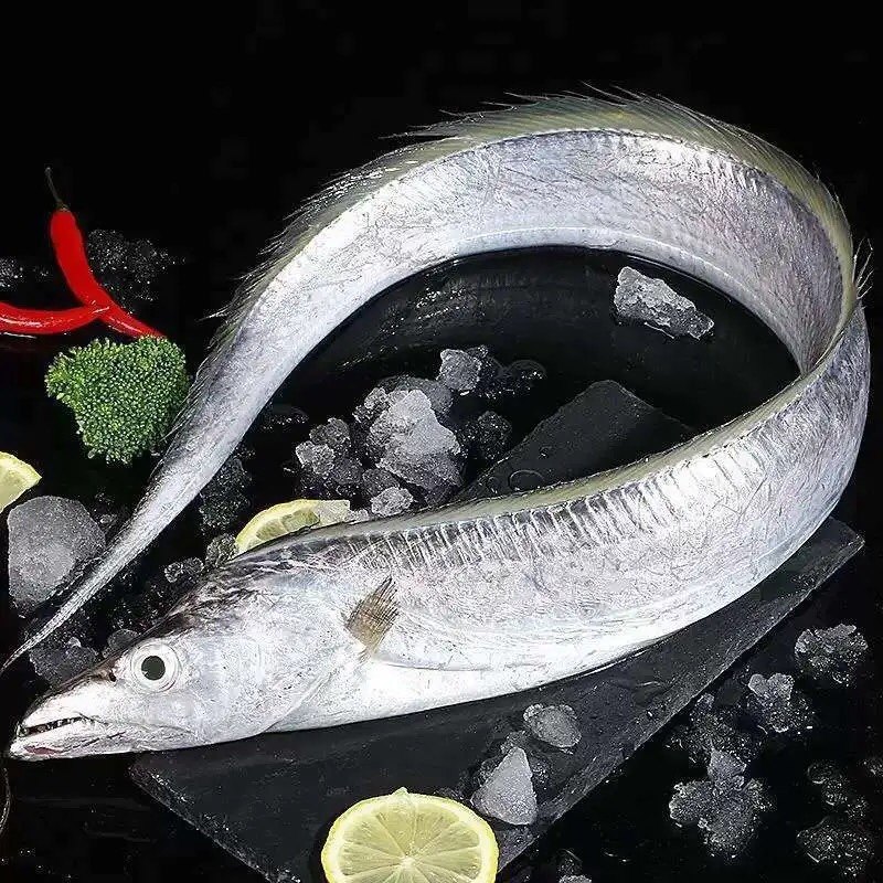 舟山小眼带鱼国产海鲜整箱5斤新鲜刀鱼整条带鱼