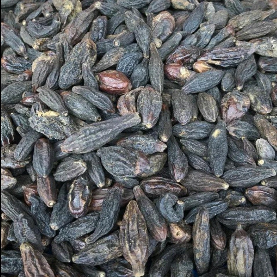 青果中药材西青藏青果子香料500克包邮其他药食同源食品