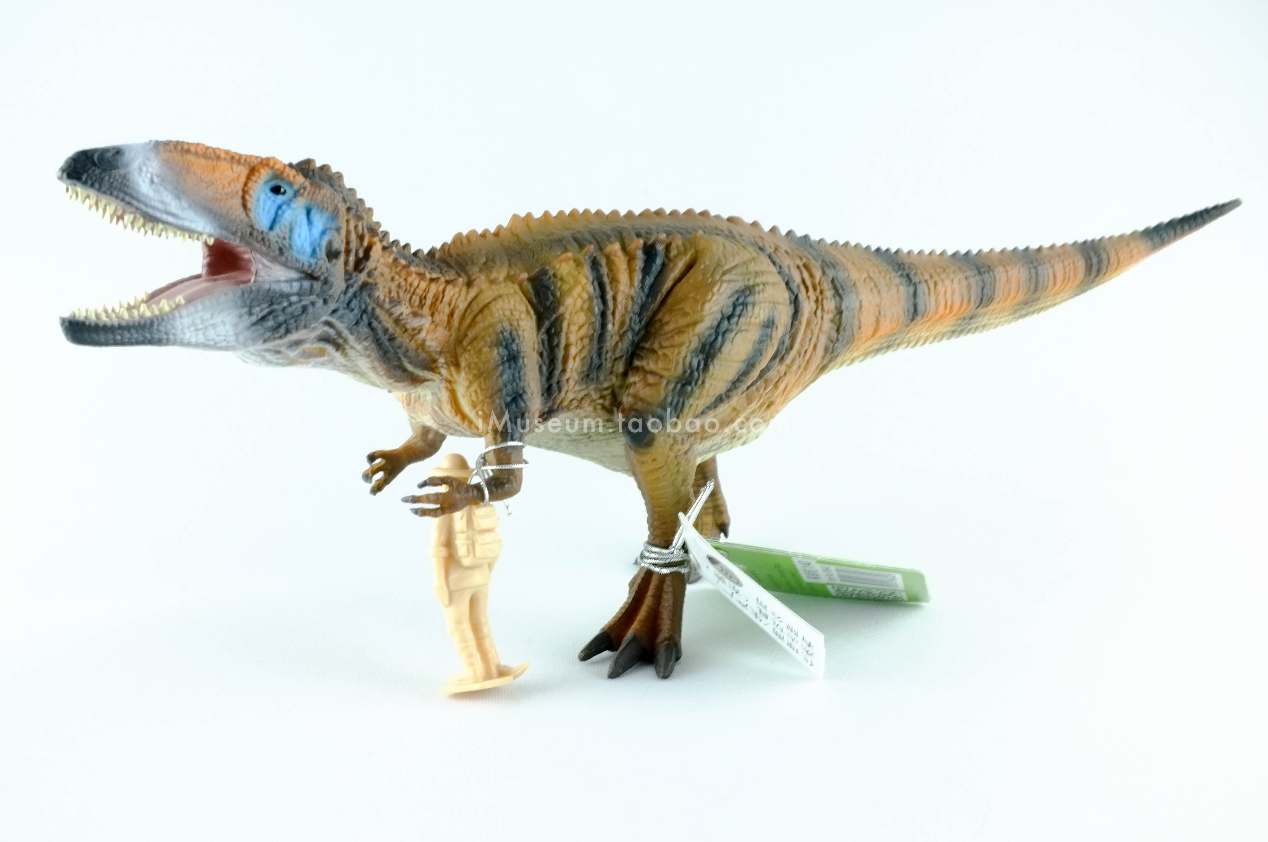 collecta孩童成人比例真实龙真实鲨齿玩具动物模型仿真