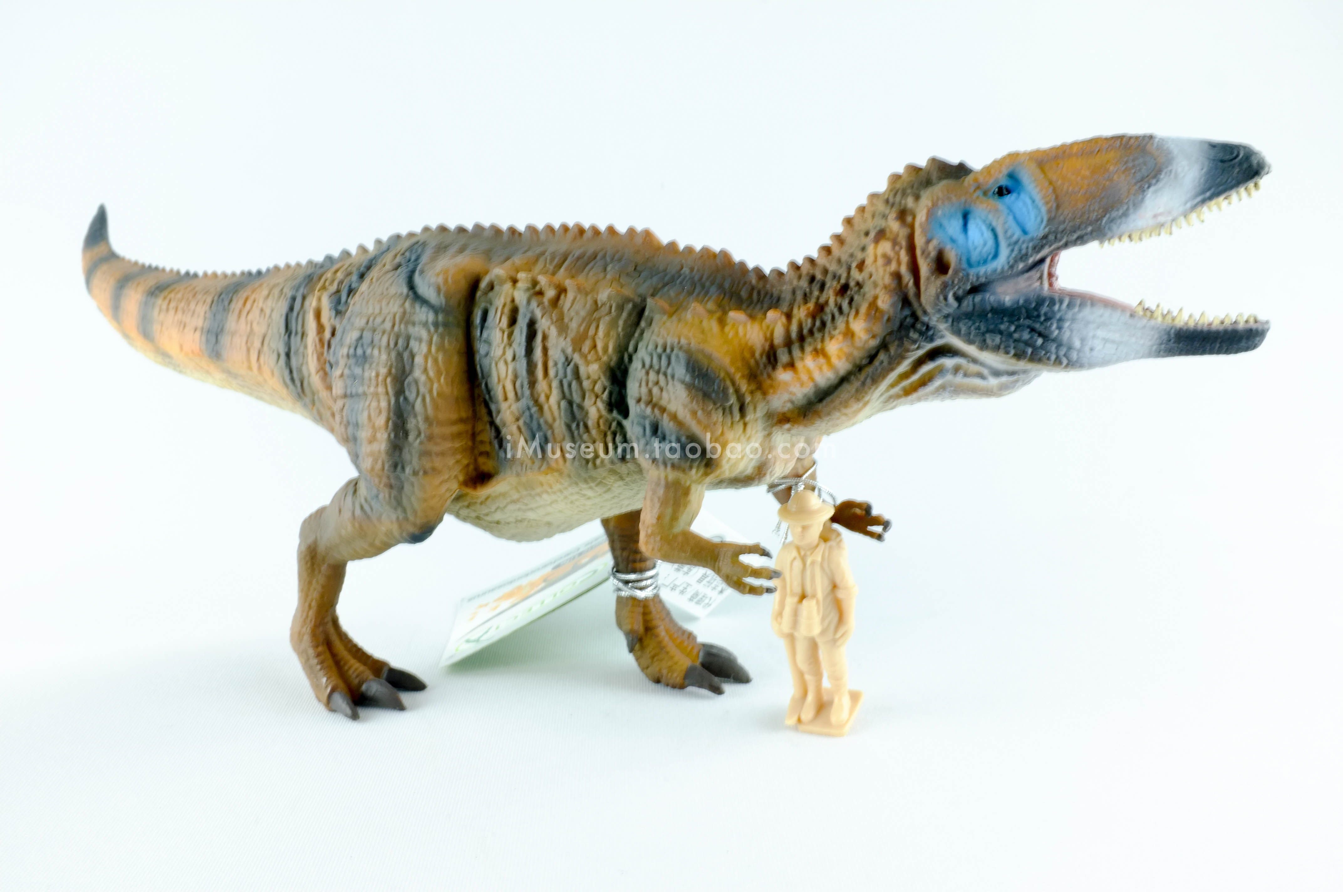 collecta我你他仿真恐龙模型动物玩具鲨齿龙真实比例成人孩童手办