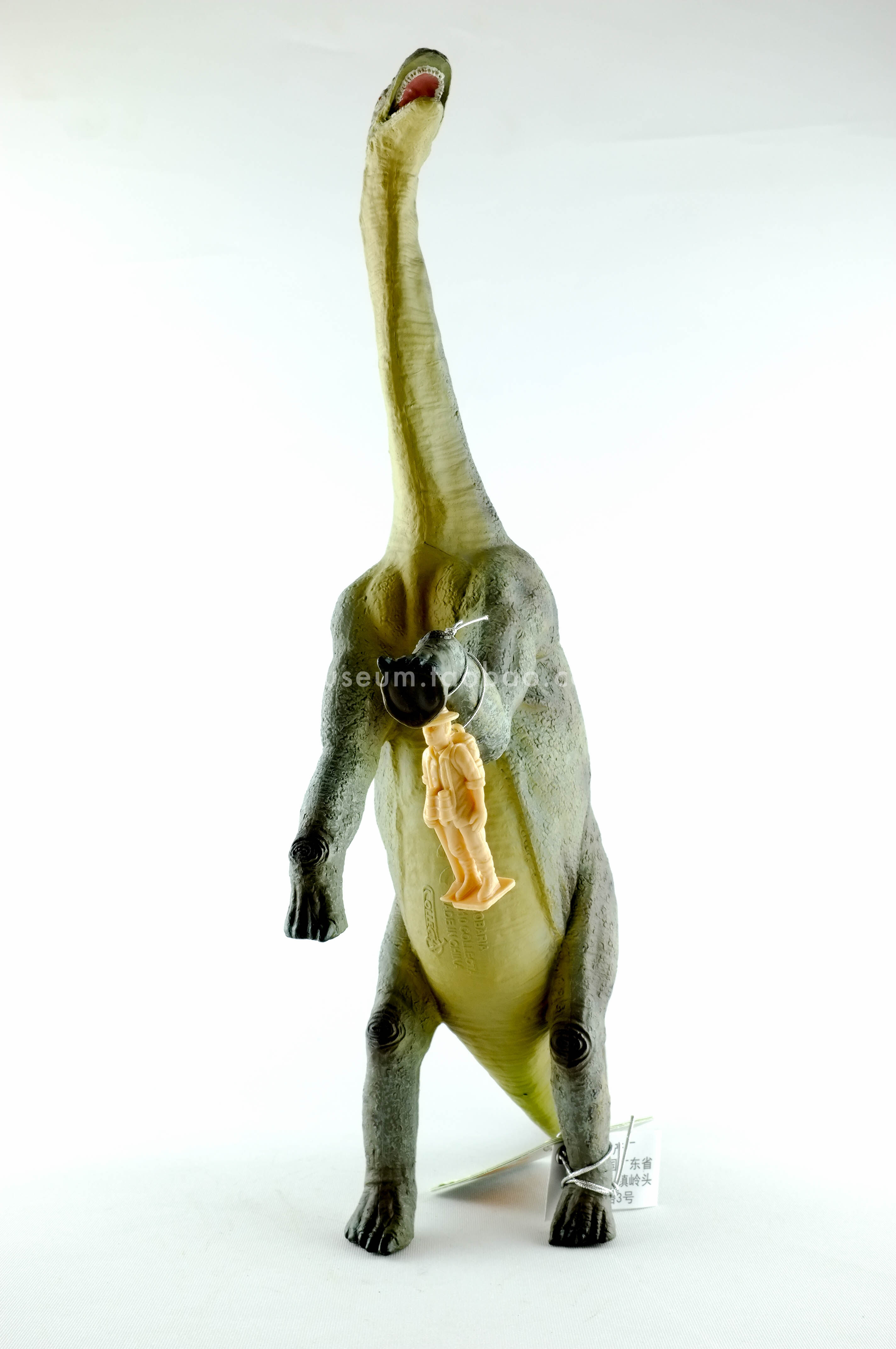 模赞collecta我你他仿真恐龙模型动物儿童玩具约巴龙88395真实感