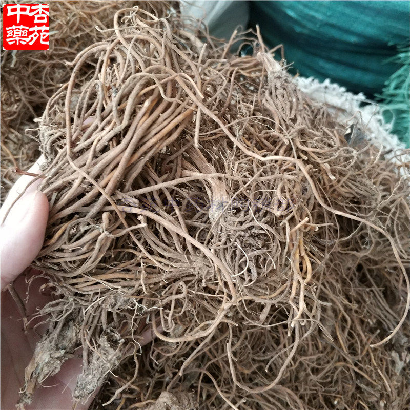 白眉草干品500克白眉全中药材中草药一枝白眉其他药食同源食品