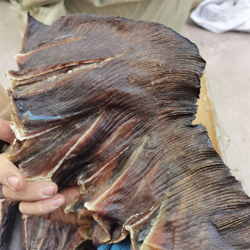 日照特产老板鱼干孔鳐鱼夫鱼魔鬼鱼鲽鱼淡盐瑶鱼干