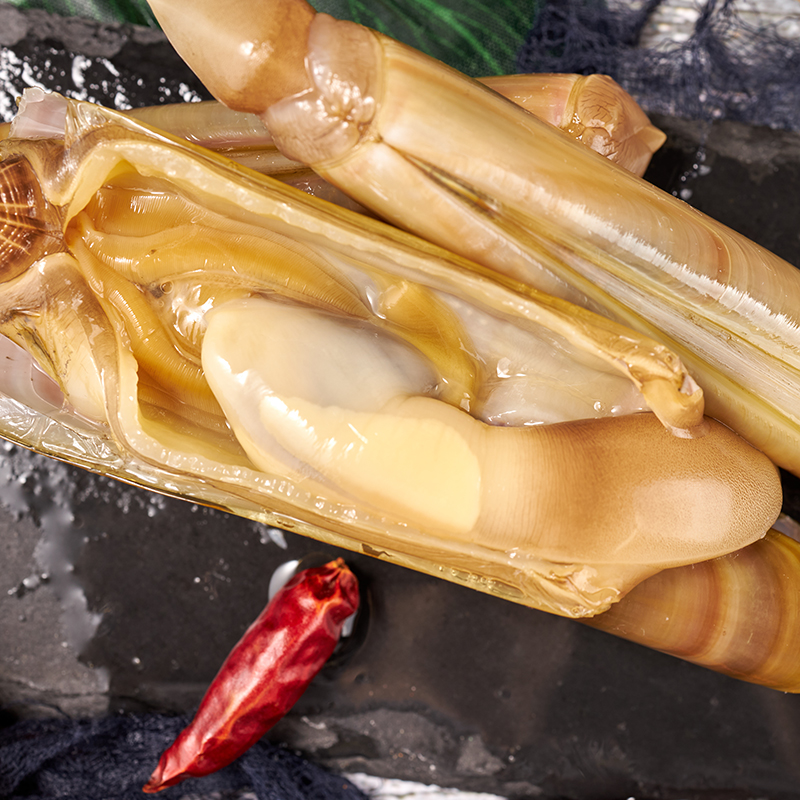 大蛏贝类大连无沙3斤超大王超大竹节新鲜刀蛏蛏子