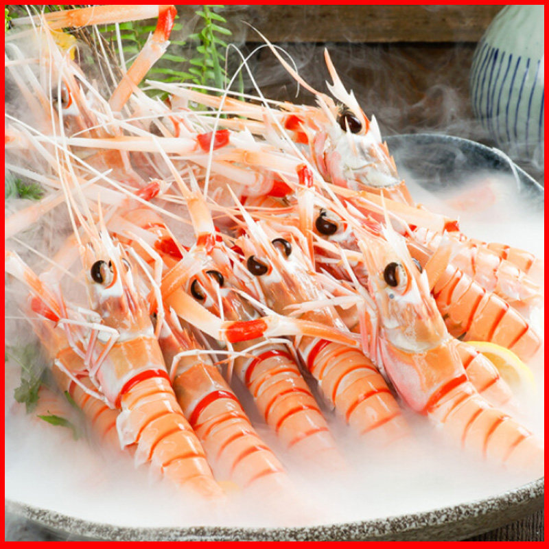 鳌虾1号1kg2kg新西兰进口深海南极刺身斯干冻虾