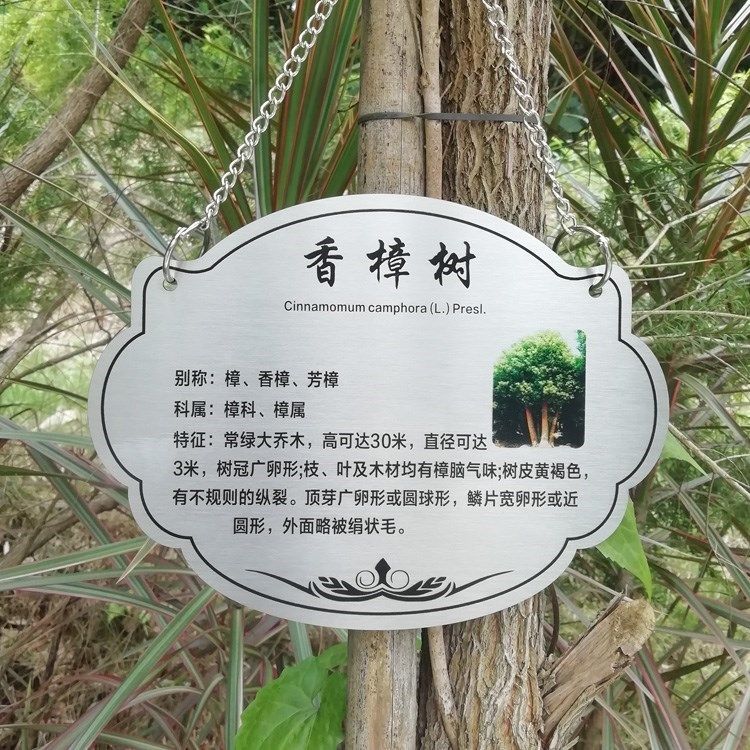 不锈钢户外植树节植物认养旅游古树百科介绍树上标志牌