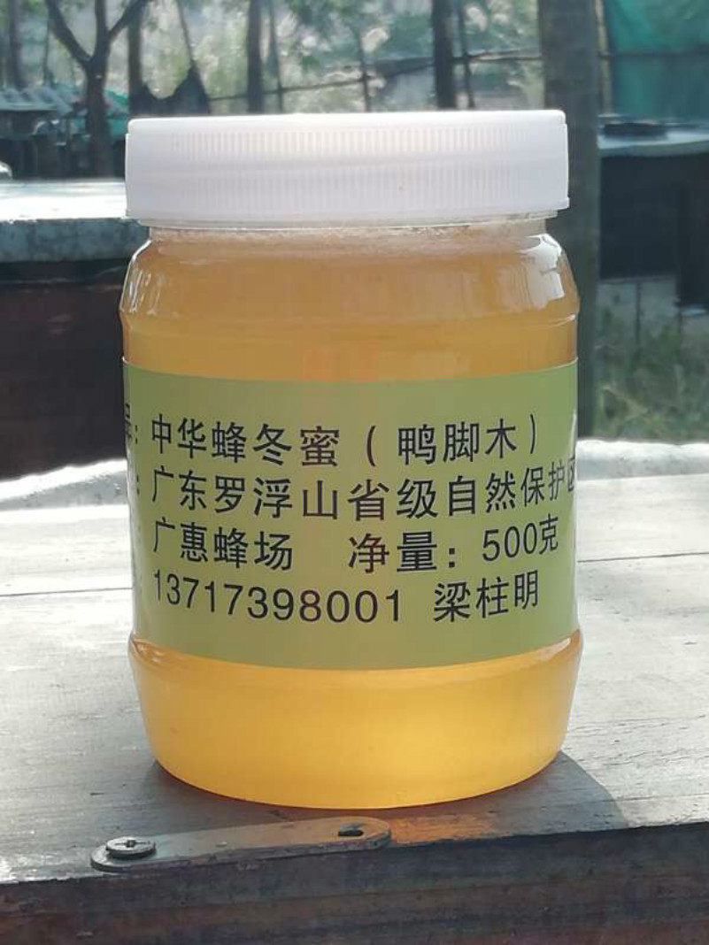鸭脚木蜜冬蜜纯正蜂蜜农家自产正宗土蜂蜜结晶雪蜜无添加广东蜜糖